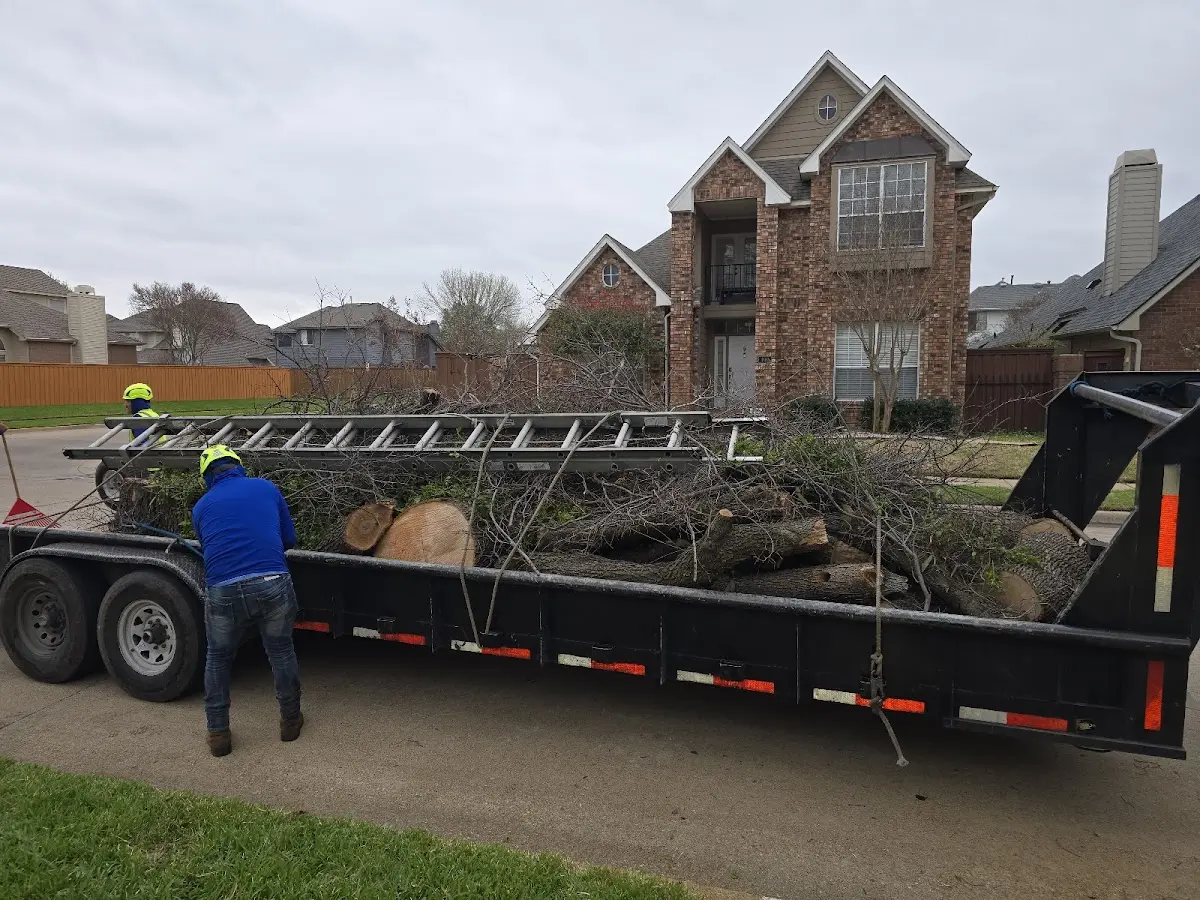 Expert Tree Removal with proper safety equipment in Valley Farms